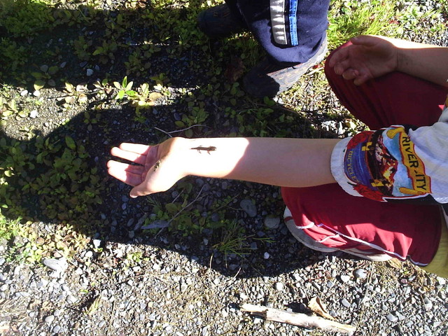 Check out the salamander crawling up my arm!
