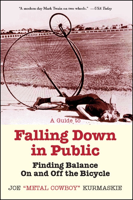 Guide_to_Falling Down_front_cover